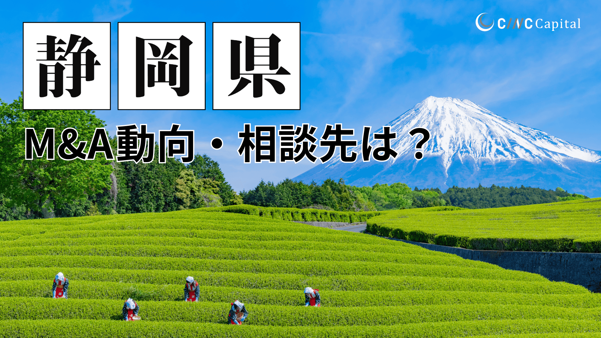 静岡県のM&A動向は?事例や信頼できる相談先/M&Aを進めるときの注意点を解説