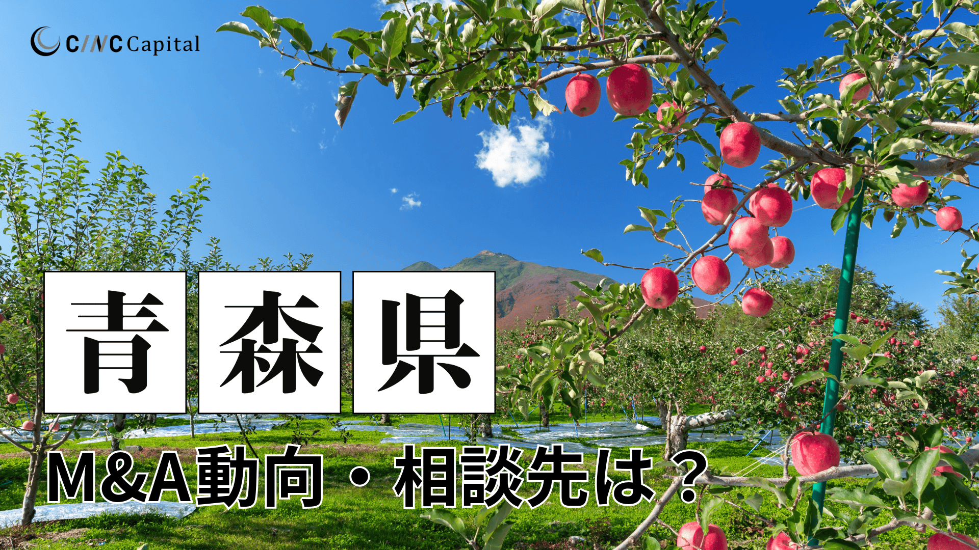 青森県のM&A動向は？事例や信頼できる相談先/M&Aを進めるときの注意点を解説