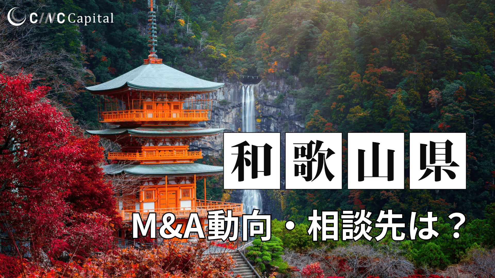 和歌山県のM&A動向は？事例や信頼できる相談先/M&Aを進めるときの注意点を解説