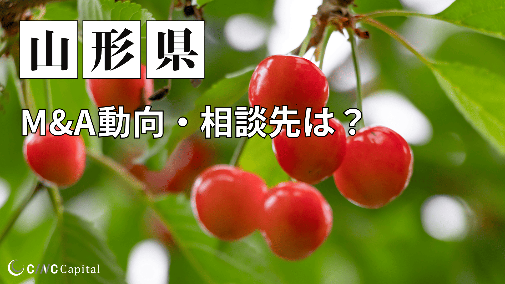 山形県のM&Aや事業承継の動向は？事例や信頼できる相談先/M&Aを進める時の注意点を解説